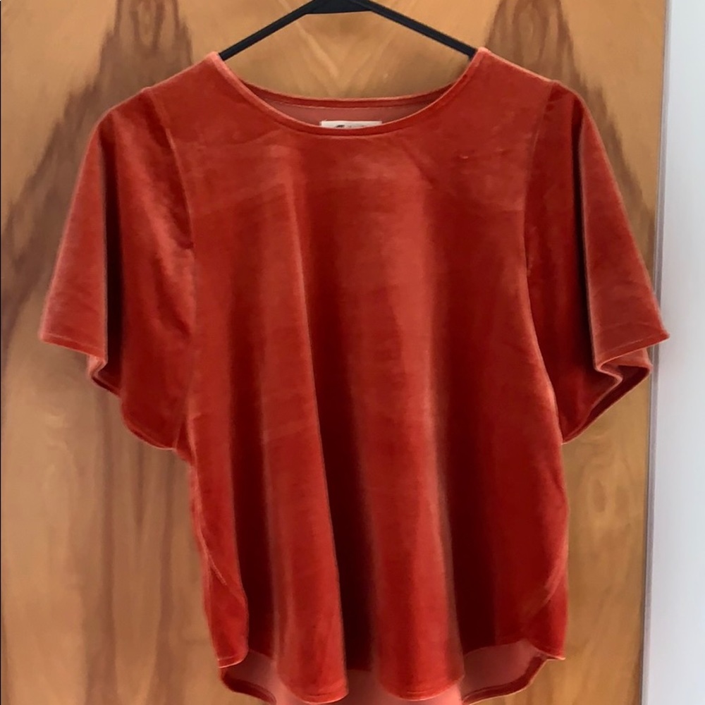 New never worn madewell velour/velvet  top